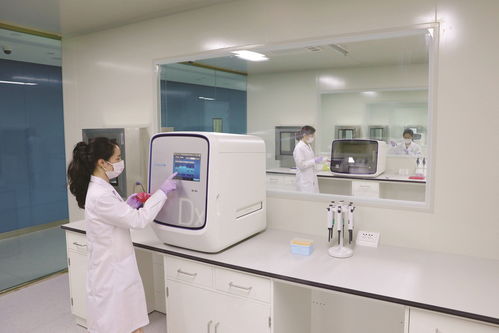 钟楼数字经济云奔潮涌 数码产品引领消费新浪潮
